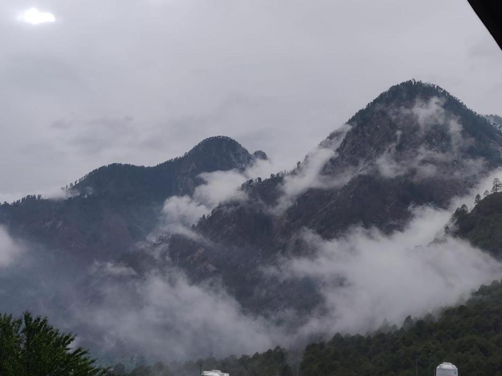 Dhi Ananta - Pure Veg Kasol