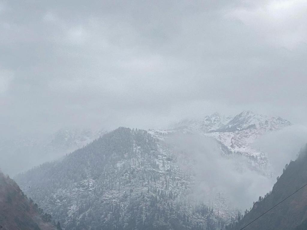 Homestay Dhi Ananta - Pure Veg Kasol