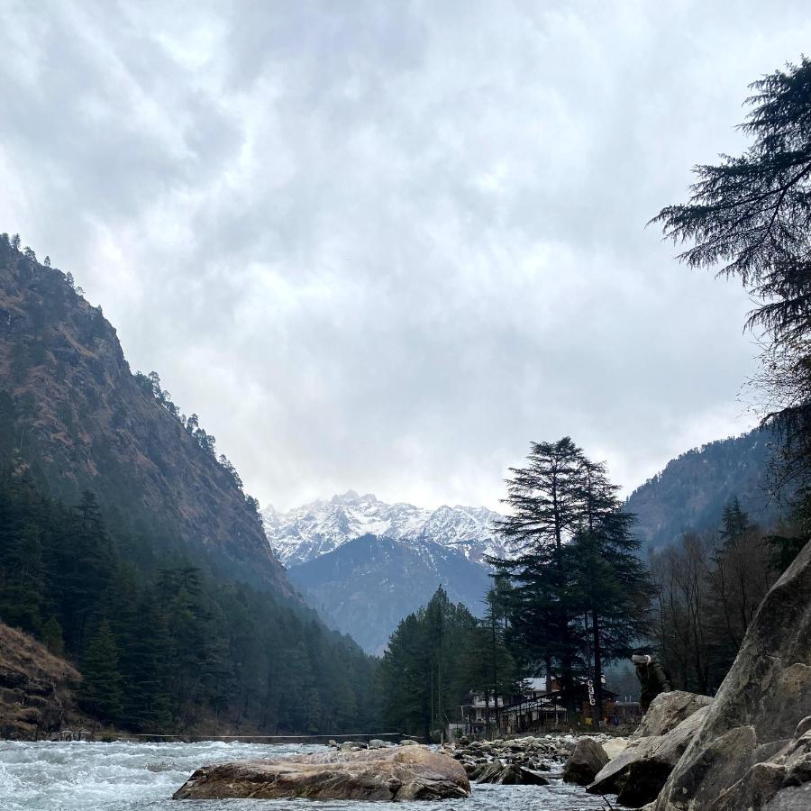 Dhi Ananta - Pure Veg Kasol